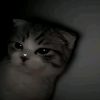 xyxyxyxy_raaaa