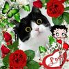 phang.alex