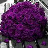 fleur.violet424
