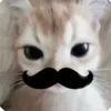pralkaagd