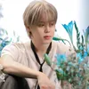 pjm13105