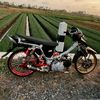 ytlana10