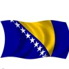 bosna7915