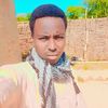 algoni.bechir