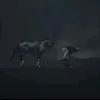 musulma523