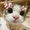 sittie7711