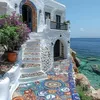 shaima.ali192
