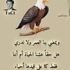 hamamin.mourad
