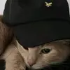 dilzzz777_