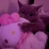 ta_ny4_2