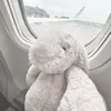 anju.hayashi