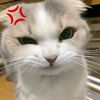 phyo.wai.soe4553