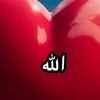 user6305035617858