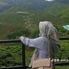 .single.mom..mr
