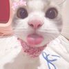 cika.nurh