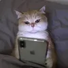 minh_thai.1