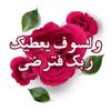 user56079251315041