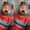 rrriefvkfyn