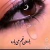 user3505054375577