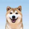 babydogbobo