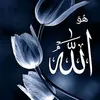 user92985767282914