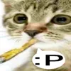 semka_doza