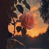 yoyo_fg1