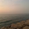 danah.alrefaei