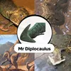 mr_dipl0_caulus2308