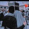 nour8419
