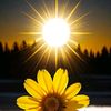 sun.shine.470
