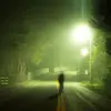 h.11.10t