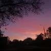..vera_15