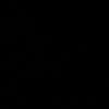 kaligeedtaliso558