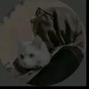 mhfyruncxd