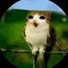kuaso_123