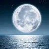 user5305052032557