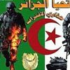 mab.alger