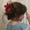 ali_ahmab4