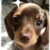 gracie.tracy62