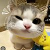 queen_name01