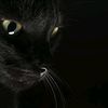 www.tiktok.comdoris00