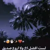 user31176718883267