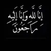 shwin_m12
