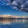 bledi.zenunllari