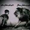 user8849404479412