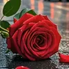 ajebbar