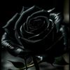 🖤Black flower