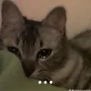 zoeybdrtqpc