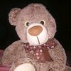 user14078381081241